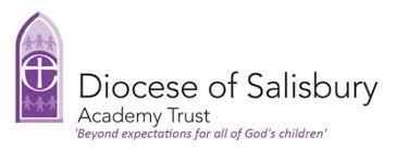 Diocese of Salisbury Academy Trust (DSAT)) - Non-Executive Director
