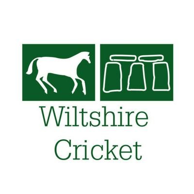 Wiltshire Cricket Limited – Non-Executive Director