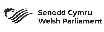 Welsh Parliament: Audit Wales - Chair and Non-Executive Members